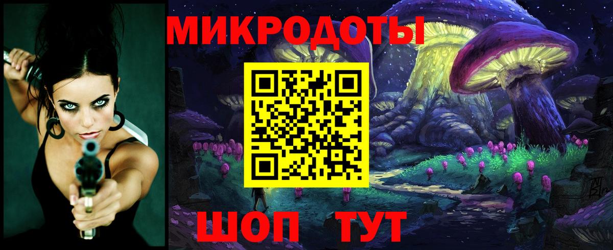 Галлюциногенные грибы Psilocybe Ржев